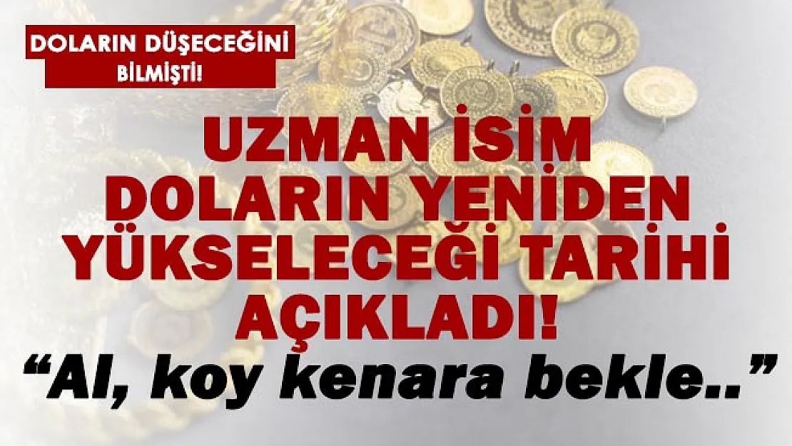 Daha önceki tahminleri tutmuştu! Doların yükseleceği tarihi açıkladı!