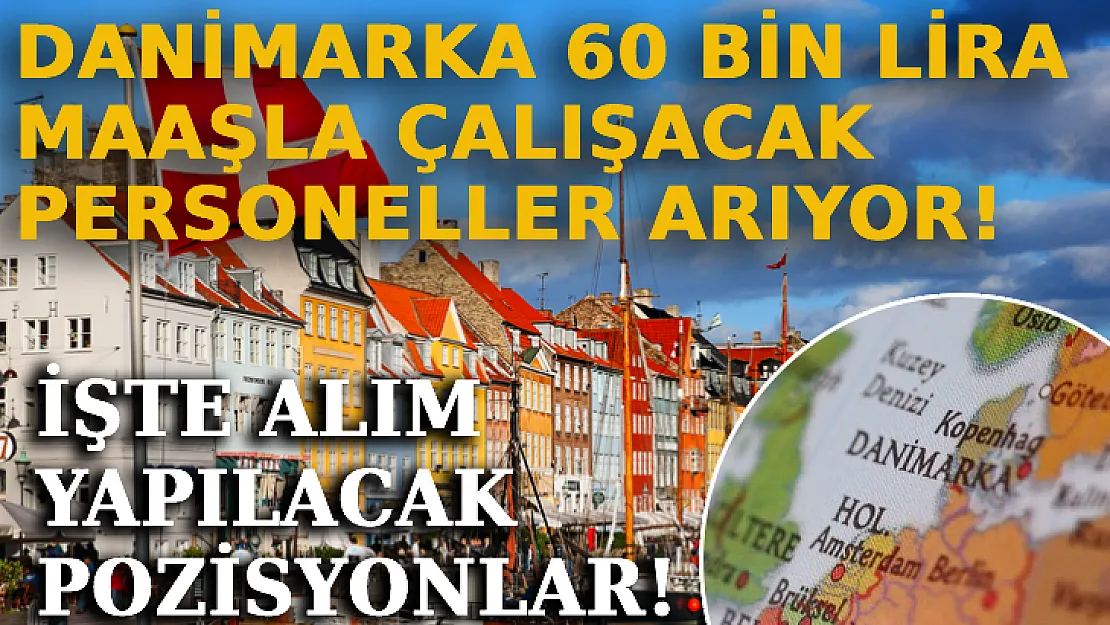 Danimarka 60 Bin Lira Maaşla Çalışacak Personeller Arıyor! İşte Alım Yapılacak Pozisyonlar!