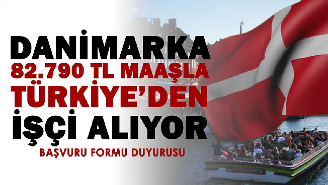 Danimarka iş başvuru formu duyurusu! Türkiye'den işçi alımı yapılıyor: 5 bin 376 Euro yani 82 bin 790 lira maaş veriliyor! İşte kadro dağılımı ve başvuru yeri