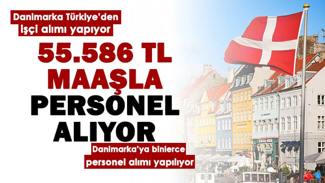 Danimarka Türkiye'den işçi alımı yapıyor! Farklı mesleklerden binlerce personel alımı: En düşük maaş 5 bin 376 Euro (75 bin 586 lira)
