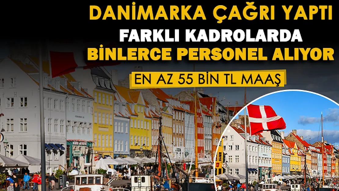 Danimarka'dan Türkiyeye çağrı! Binlerce personel alımı yapılıyor: İşte alım yapılacak pozisyonlar! En az 55 bin lira maaş veriliyor