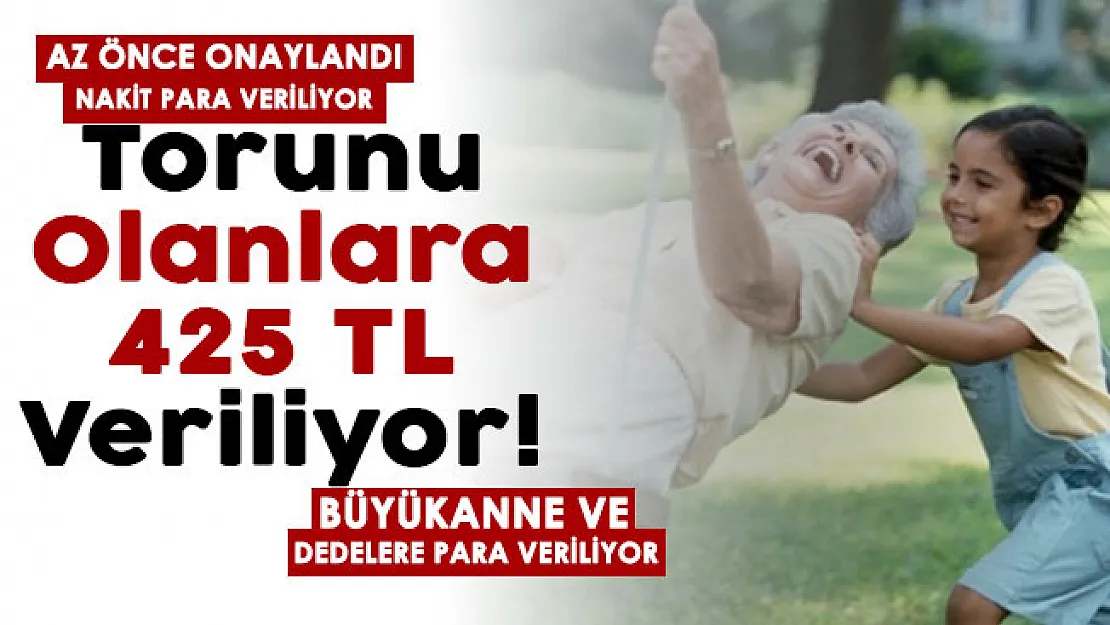 Dede ve büyükannelere destek veriliyor! Az önce onaylandı: Torun sahibi olanlara 425 TL para ödemesi başladı