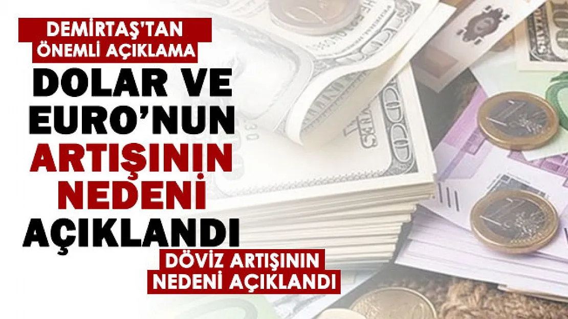 Demirtaş yalvarıyorum diyerek duyurdu! Dolar ve euro'nun neden arttığını açıkladı
