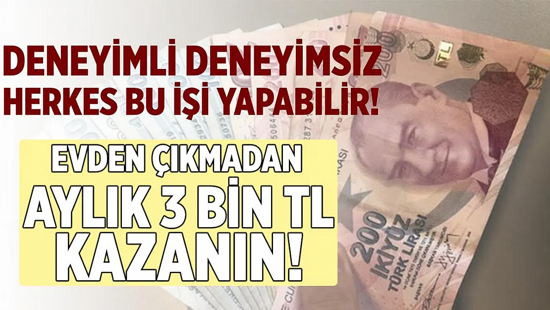 Deneyimli deneyimsiz herkes bu işi yapabilir! Evden çıkmadan aylık net 3 bin TL kazanan!