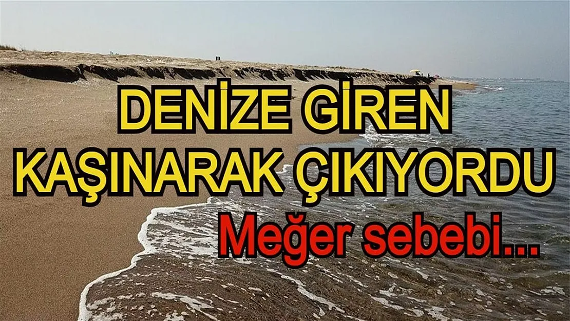 Denize giren kaşınarak çıkıyordu! İncelemeler sonucu sebebi belli oldu!