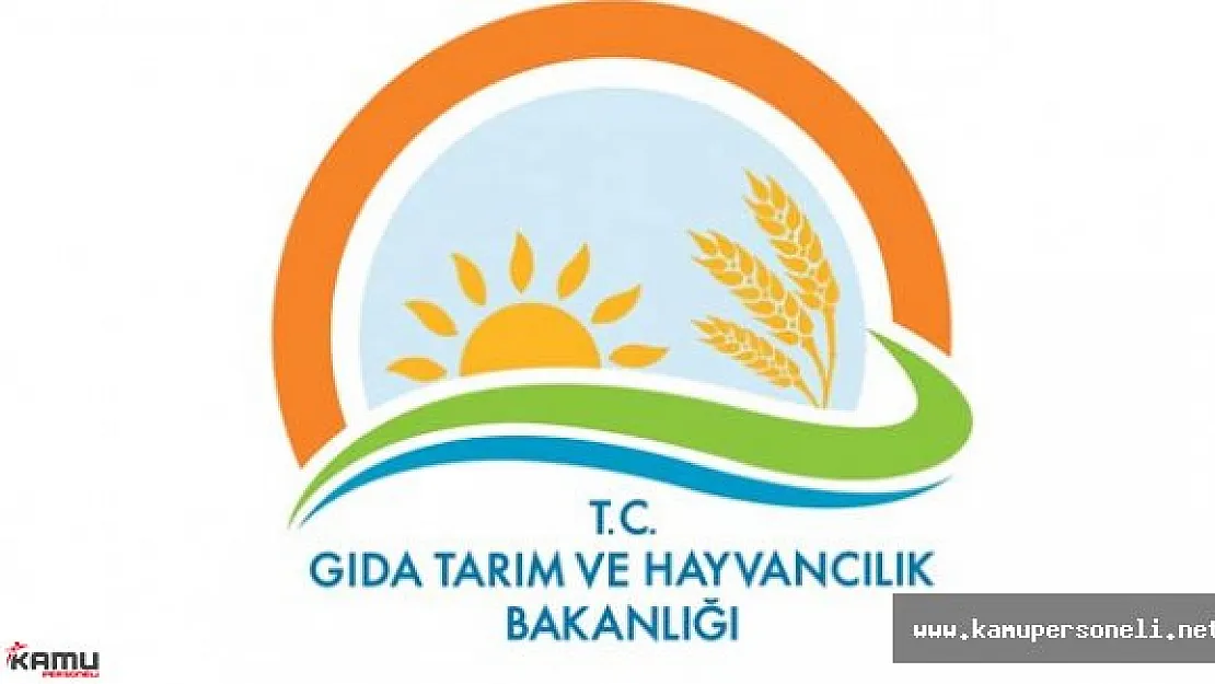 Denizli Gıda Tarım ve Hayvancılık İl Müdürlüğü Sözleşmeli Personel Alımı