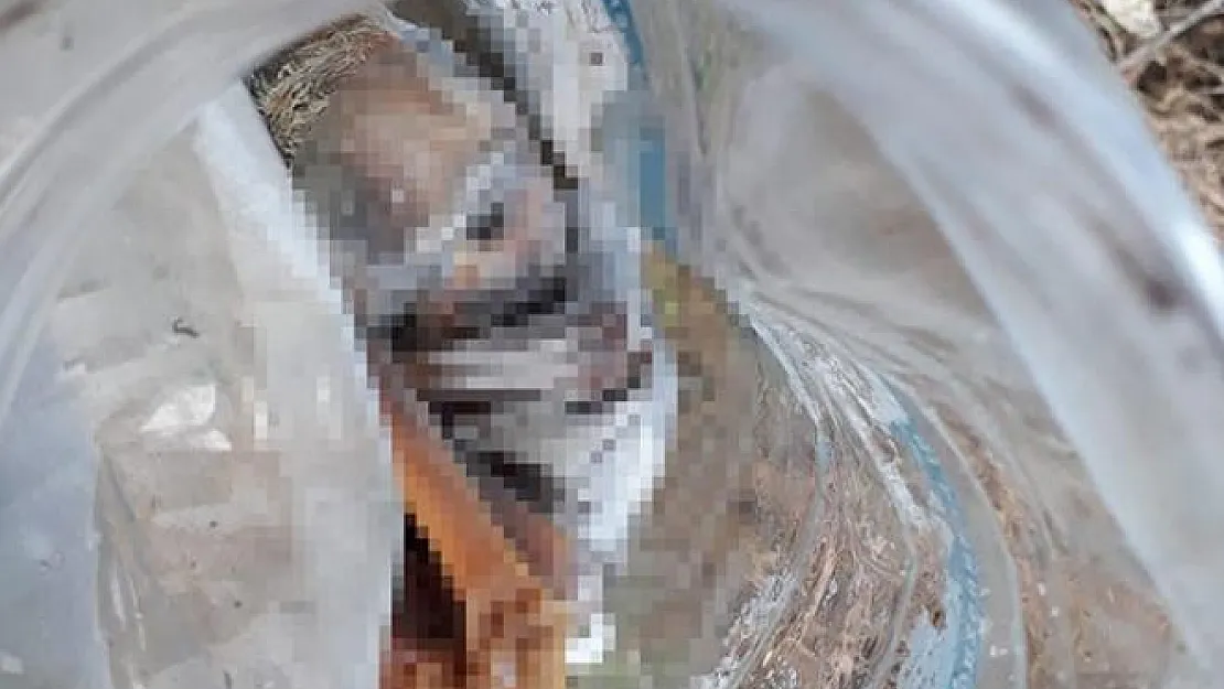 Denizli Sarayköy'de plastik bidon içinde araziye atılmış bebek cesedi bulundu
