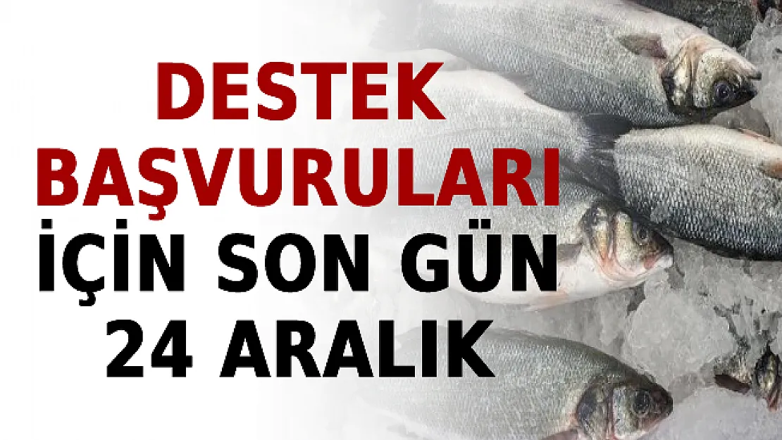 Destek Başvuruları İçin Son Gün 24 Aralık
