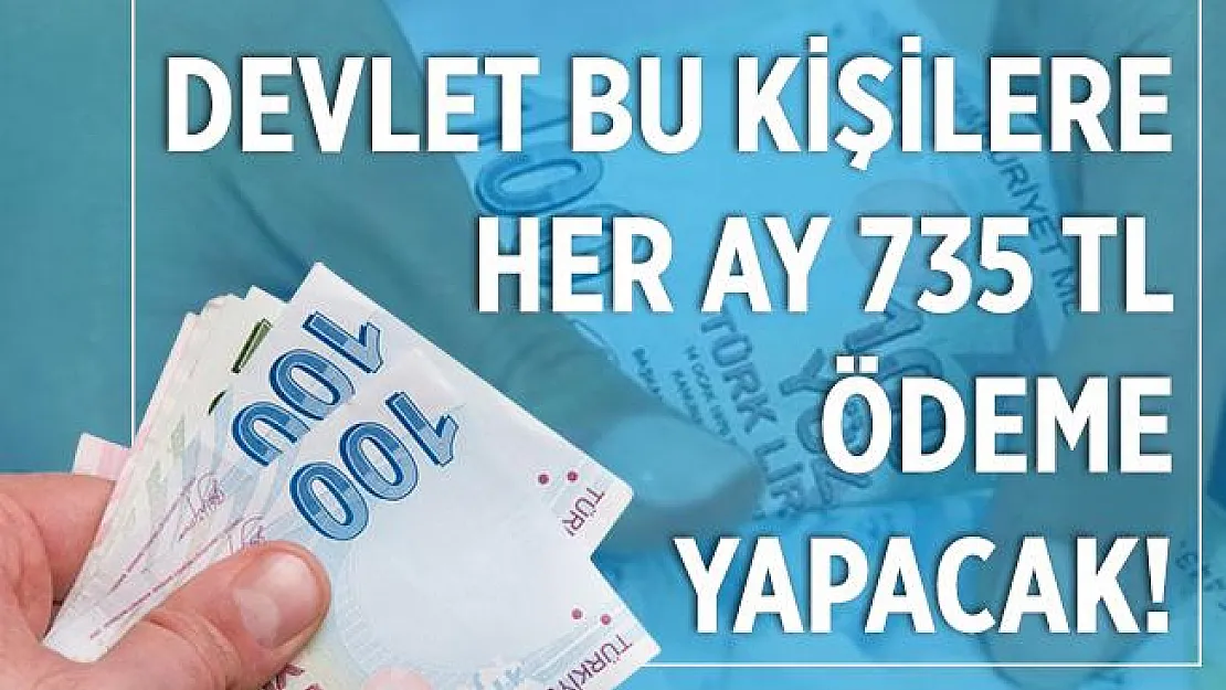 Destek ödemesinin detayları belli oldu! Devlet, bu kişilere her ay 735 TL destek verecek!