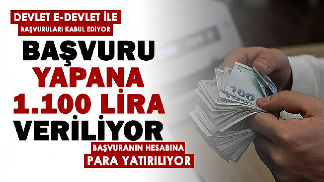 Devlet başvuruları e-Devlet üzerinden kabul ediyor! Başvuru yapanların hesabına 1100 TL yatırılıyor