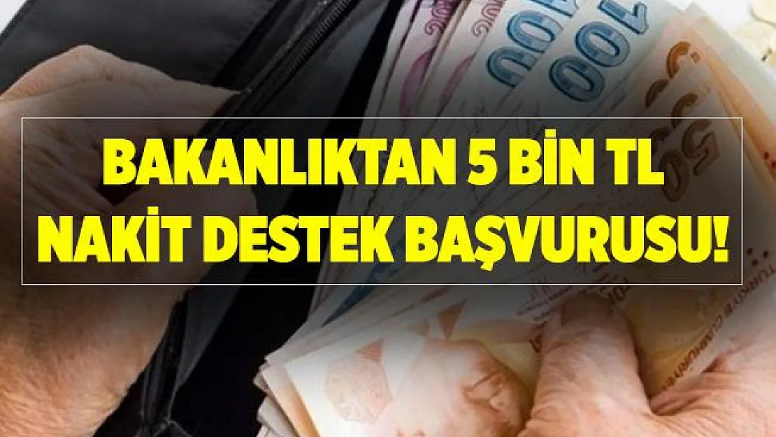Devlet 5 bin TL yardım yapıyor! Başvuru şartları neler? 5 bin TL yardım başvuru ekranı..