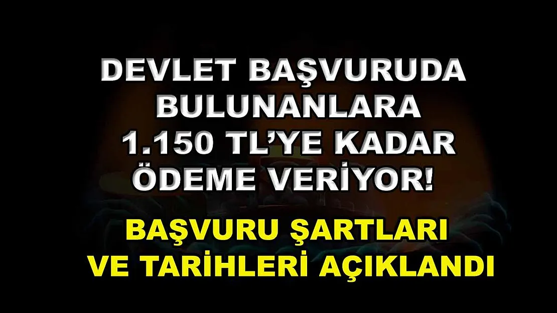 Devlet başvuruda bulunanlara 1.150 TL'ye kadar ödeme veriyor! Başvuru şartları ve tarihleri açıklandı