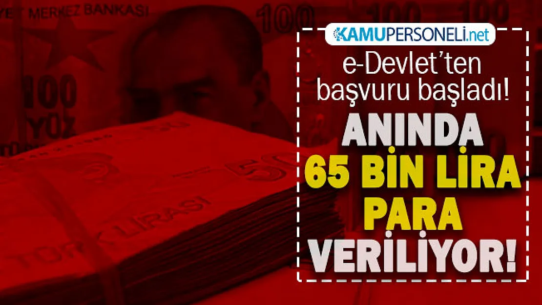 Devlet görülmemiş desteğini başlattı! e-Devlet üzerinden başvurana 65.000 TL veriliyor! Geri ödeme yok, hemen paranızı alın