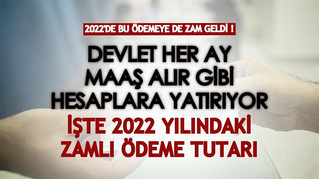 Devlet her ay maaş alır gibi hesaplara yatırıyor: 2022'de verilen ödeme tutarına da zam geldi! İşte zamlı tutar