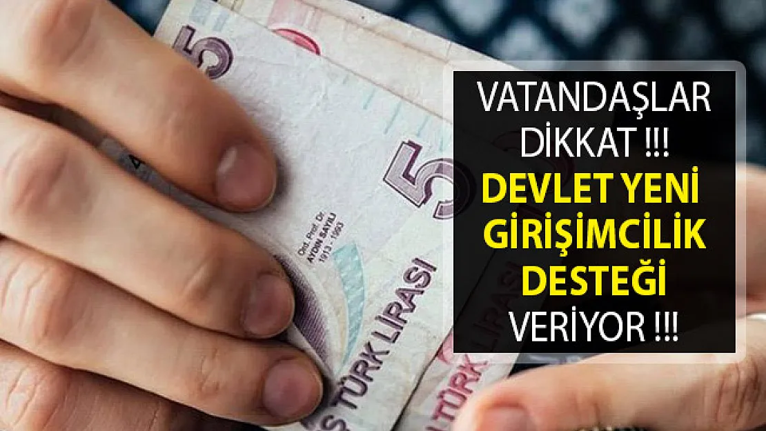 Devlet Yeni Girişimcilik Desteği Veriyor- Girişimcilik Desteği Nasıl Alınır?