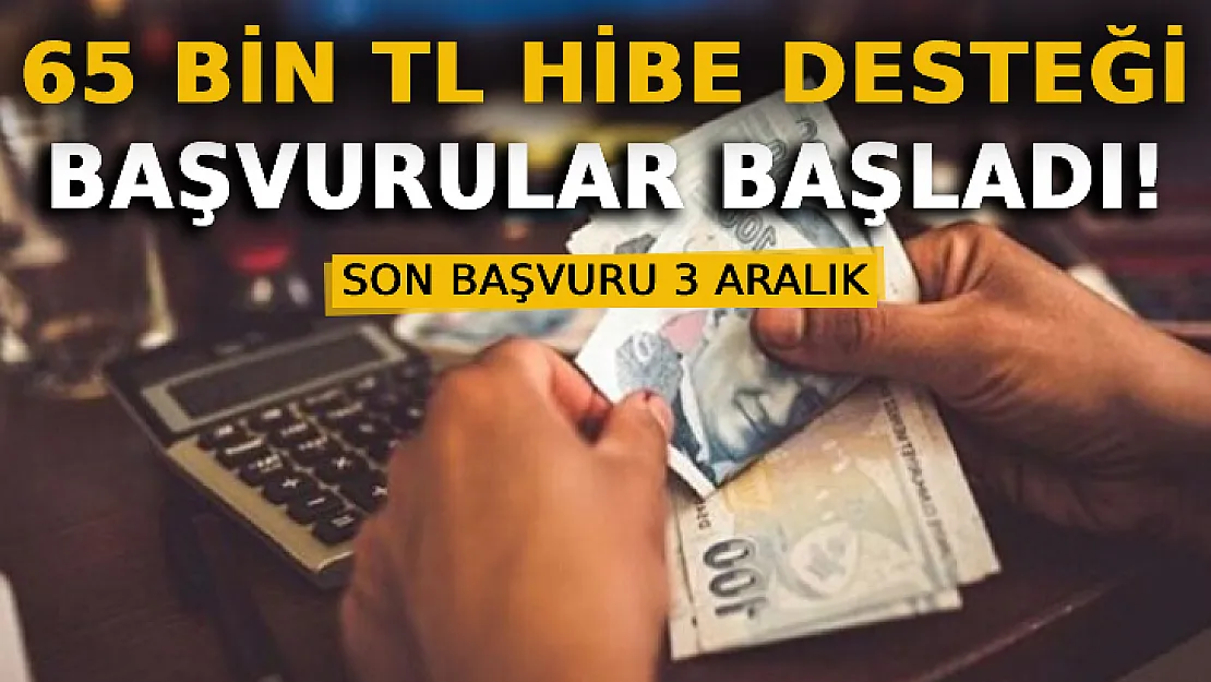 Devletten 65 Bin TL Hibe Desteği: E-Devletten Başvurular Başladı!