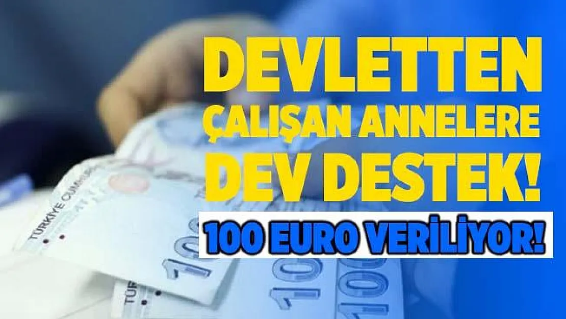 Devletten çalışan annelere aylık 100 Euro destek! Başvurular nasıl yapılıyor?