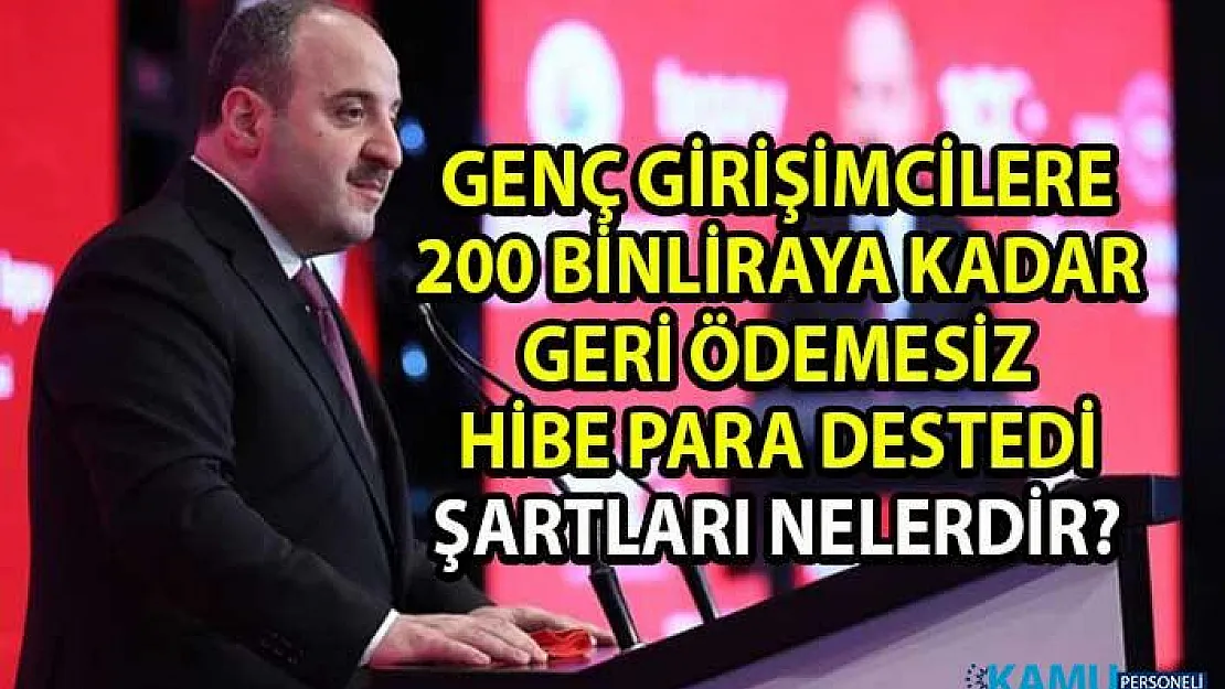Devletten, girişimcilere 200 bin lira geri ödemesiz hibe para desteği
