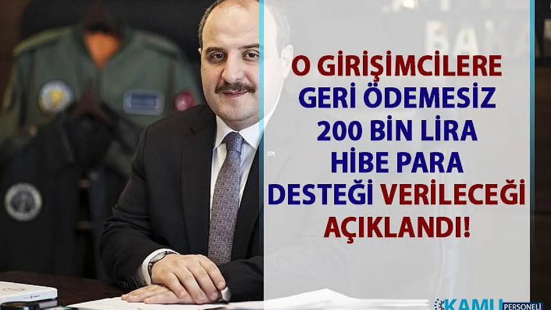 Devletten, girişimcilere 200 bin lira geri ödemesiz hibe para desteği