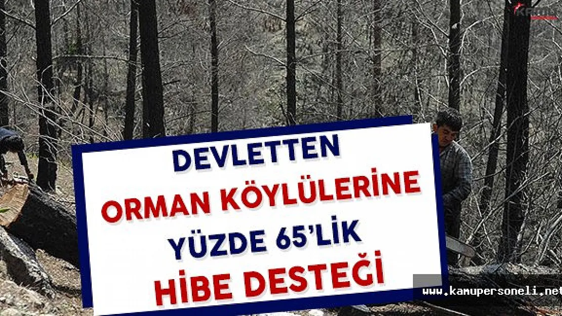 Devletten Orman Köylülerine Yüzde 65'lik Hibe Desteği