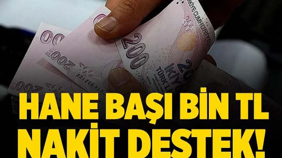 Devletten vatandaşlara bin TL destek! Başvurular nasıl yapılıyor?