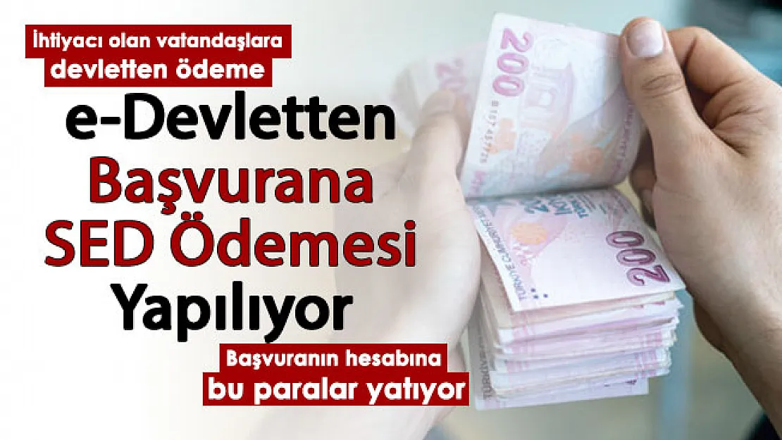Devletten vatandaşlara Sosyal ve Ekonomik Destek kampanyası! e-Devlet başvurun: Ödemeler hesaplara geçsin