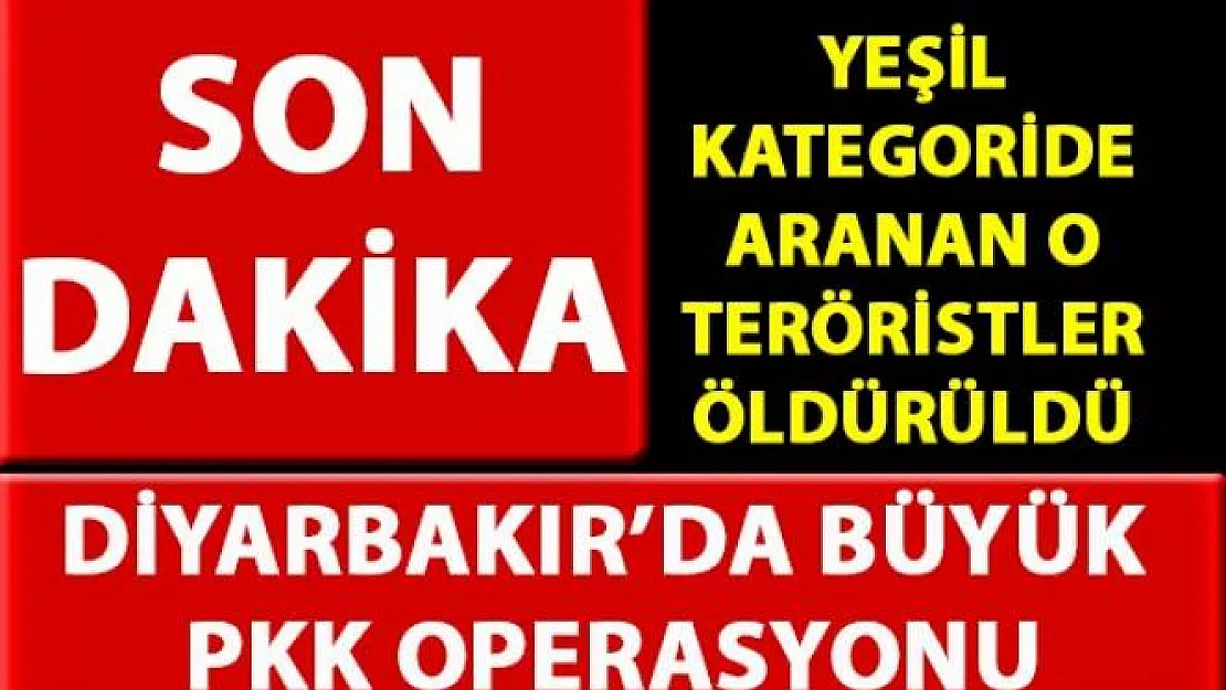 Diyarbakır Hazro'da yapılan PKK operasyonunda en çok arananlar listesinde ki 2 terörist öldürüldü