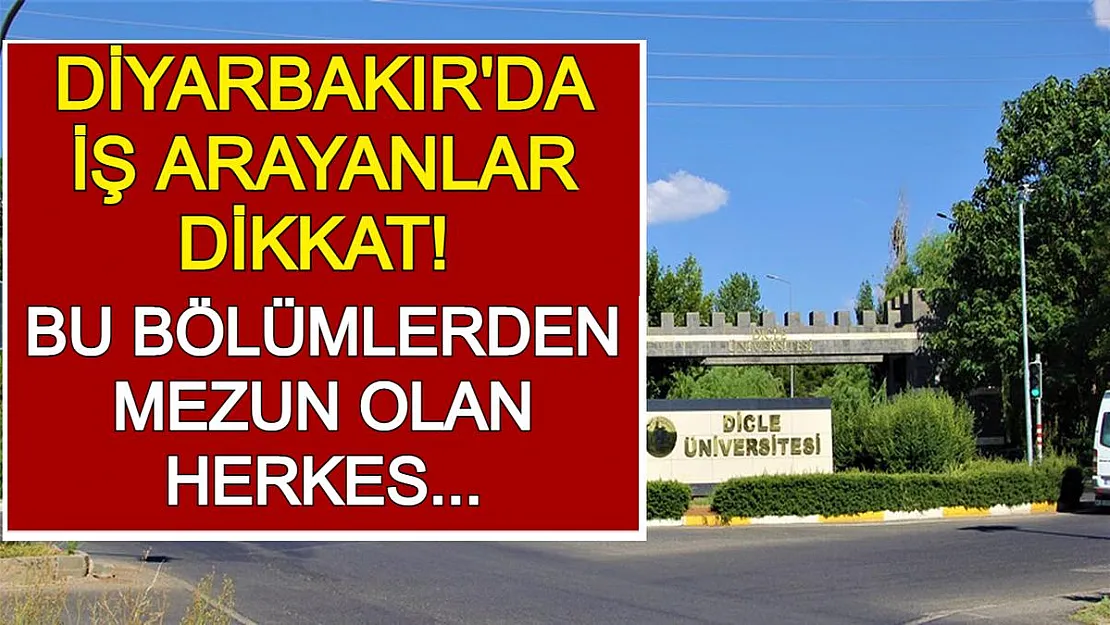Diyarbakır'da İş Arayanlar Dikkat! Bu Bölümlerden Mezun Olan Herkes Alınacak!