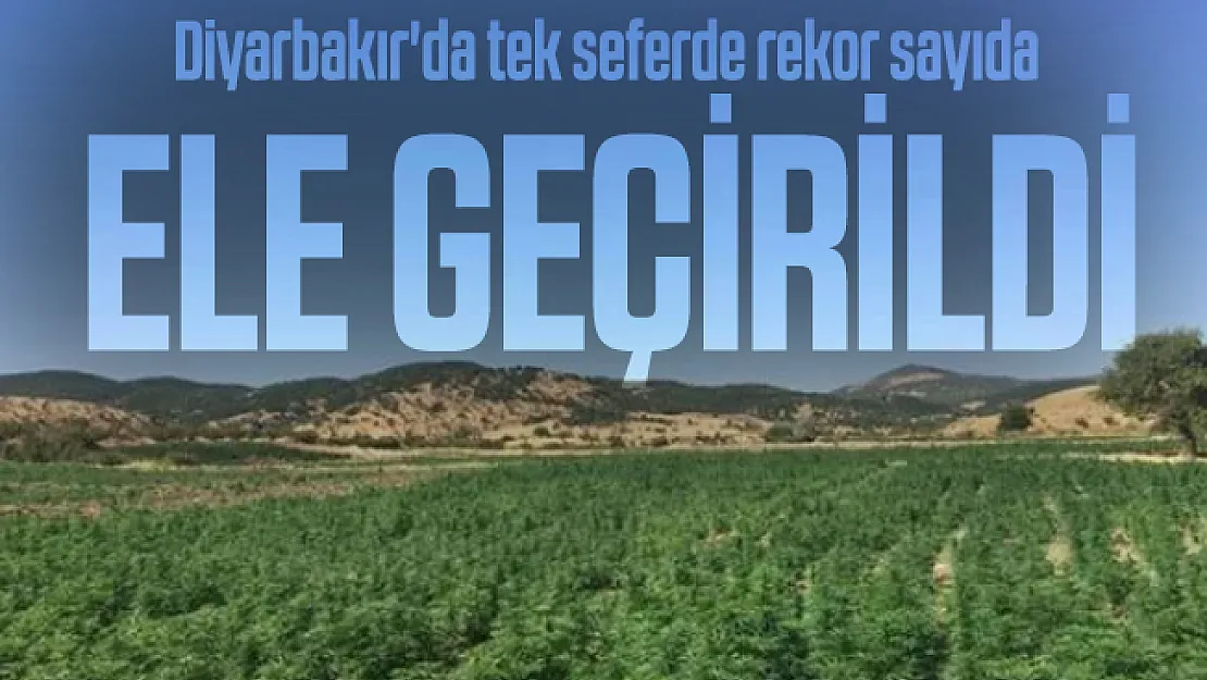 Diyarbakır'da tek seferde rekor sayıda uyuşturucu madde ele geçirildi