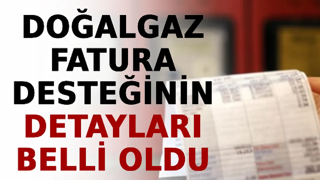 Doğalgaz Fatura Desteğinin Detayları Belli Oldu! Başvurular e-Devlet'ten Yapılacak