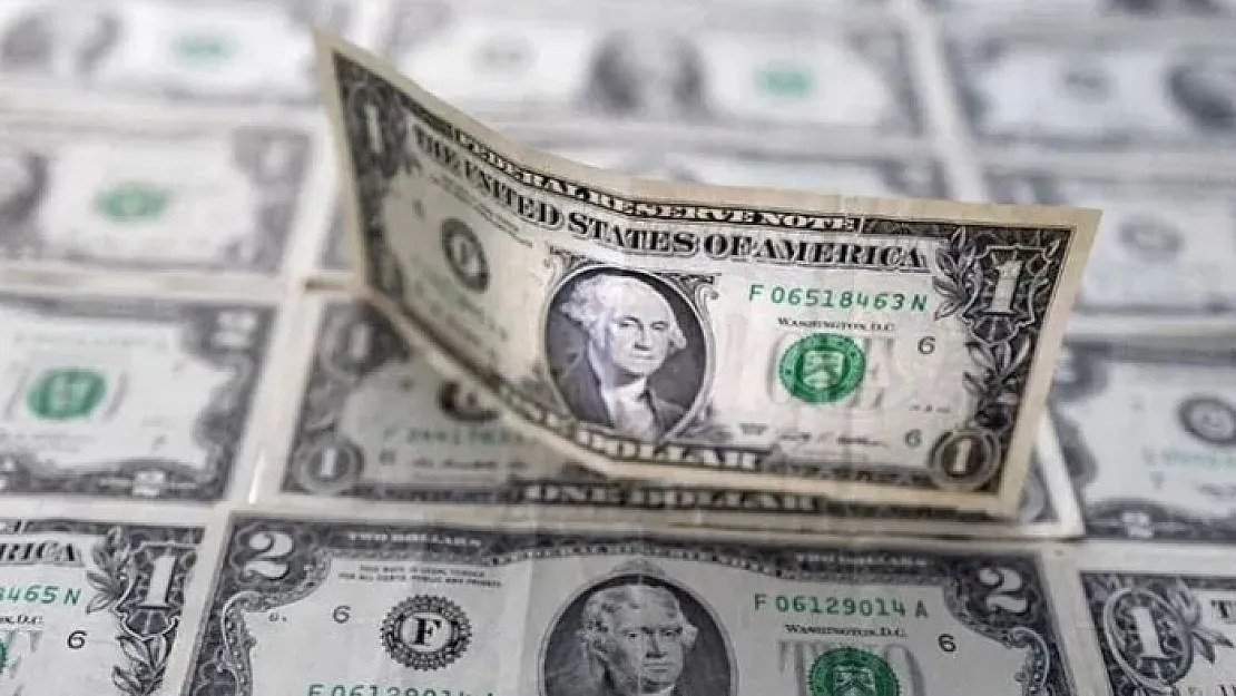 Dolar 20 TL olacak! Tarih verildi!