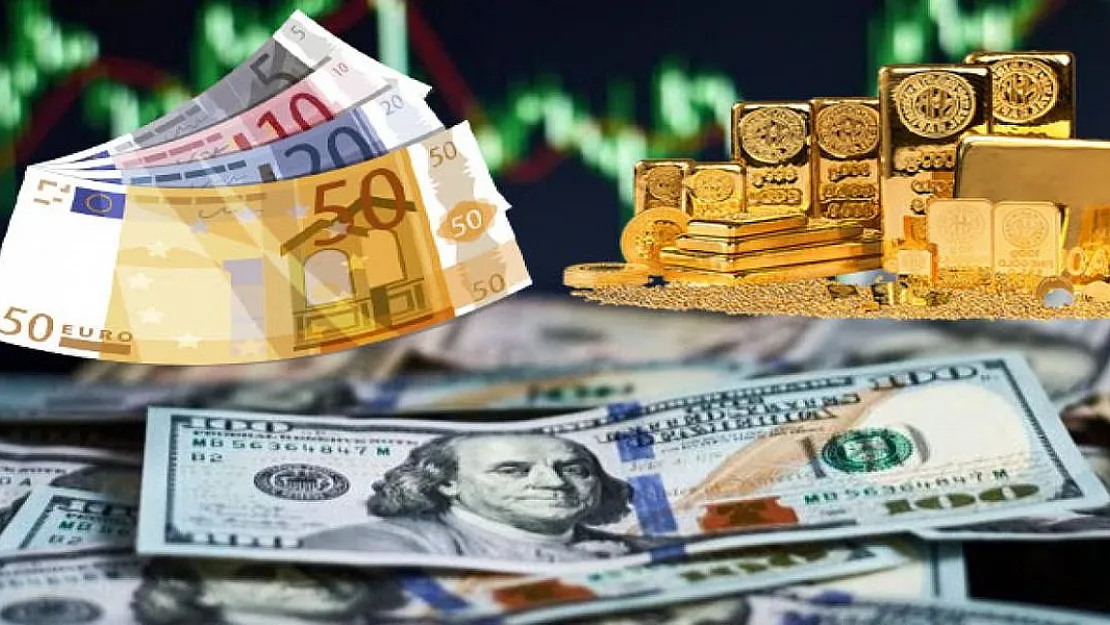 Dolar, euro ve altından daha çok kazandıran yatırım aracı belli oldu! Herkes ona yöneldi!