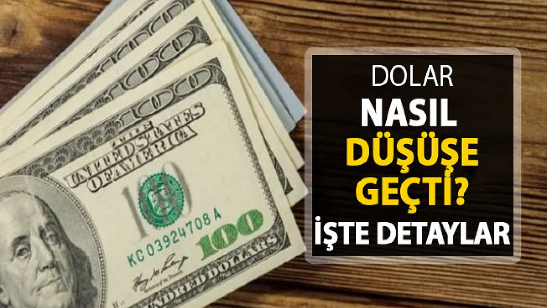 Dolar Fiyatları Nasıl Düştü ?