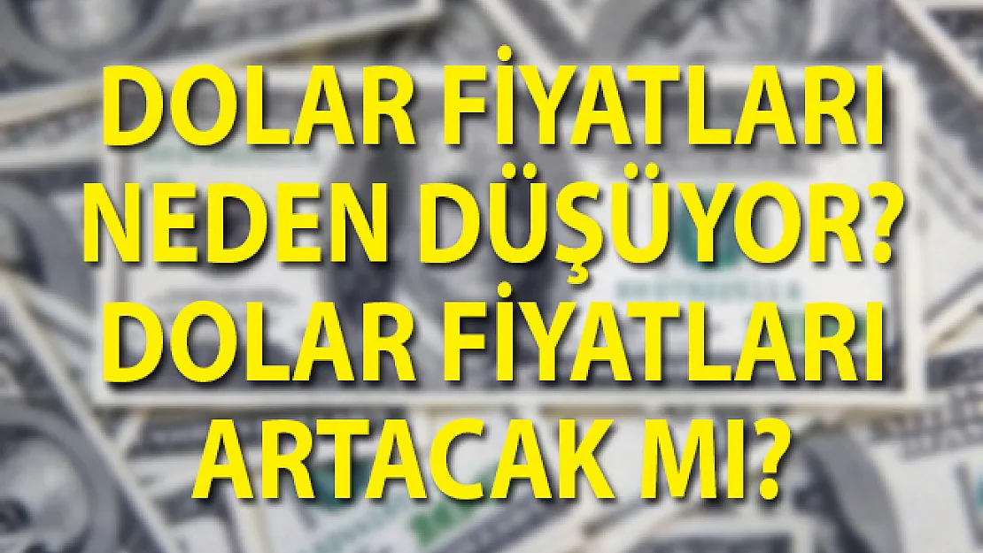 Dolar Fiyatları Neden Düşüyor? Dolar Fiyatları Artacak Mı?