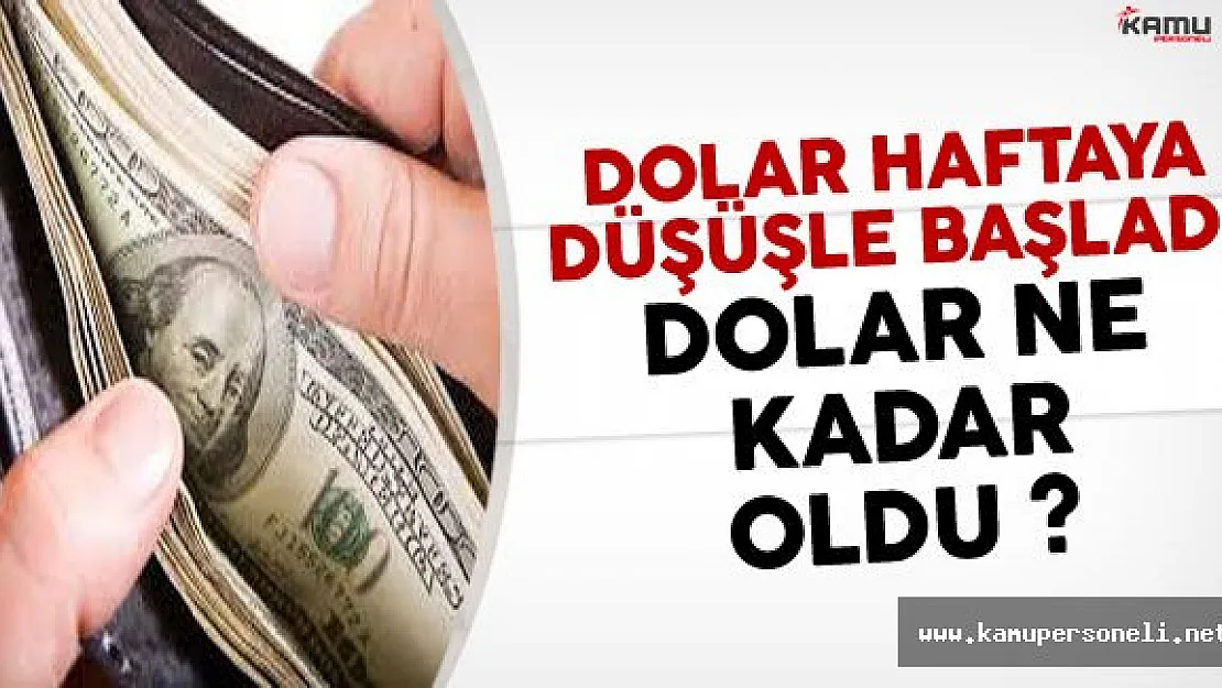Dolar Haftaya Düşüşle Başladı: Dolar Ne Kadar?