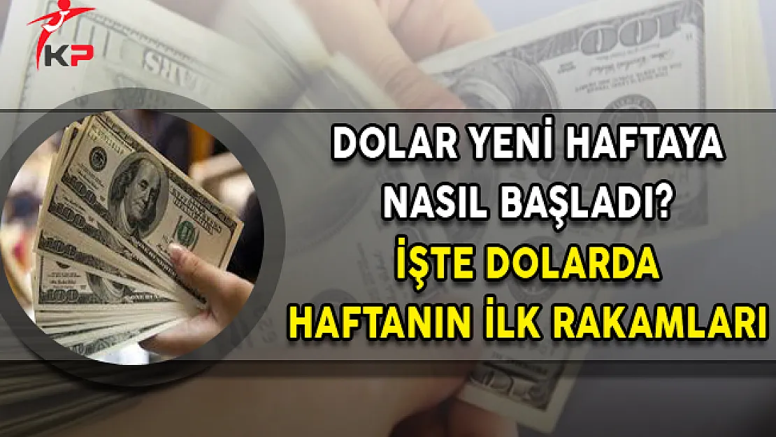 Dolar Haftaya Normal Seyrinde Başladı (Dolar Ne Kadar?)