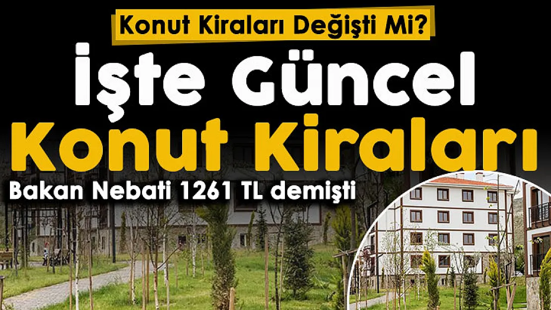 Dolar kuru düşünce konut kiraları da düştü mü? İşte güncel ev kiraları: Bakan Nebati 1261 lira demişti