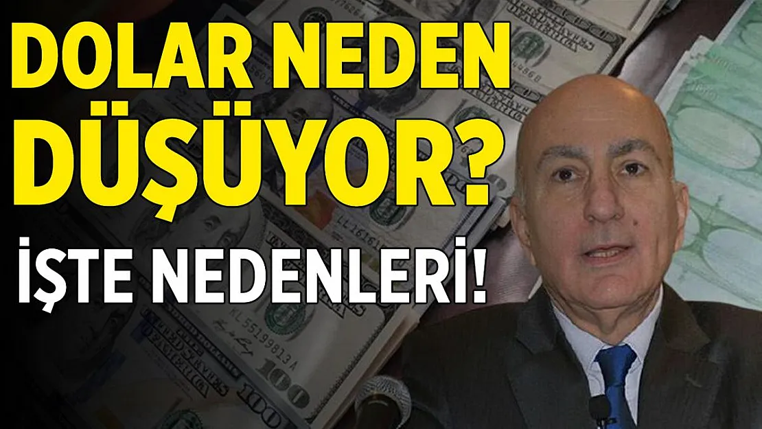 Dolar neden düşüyor! İki nedeni var! Dolara yatırım yapılır mı?