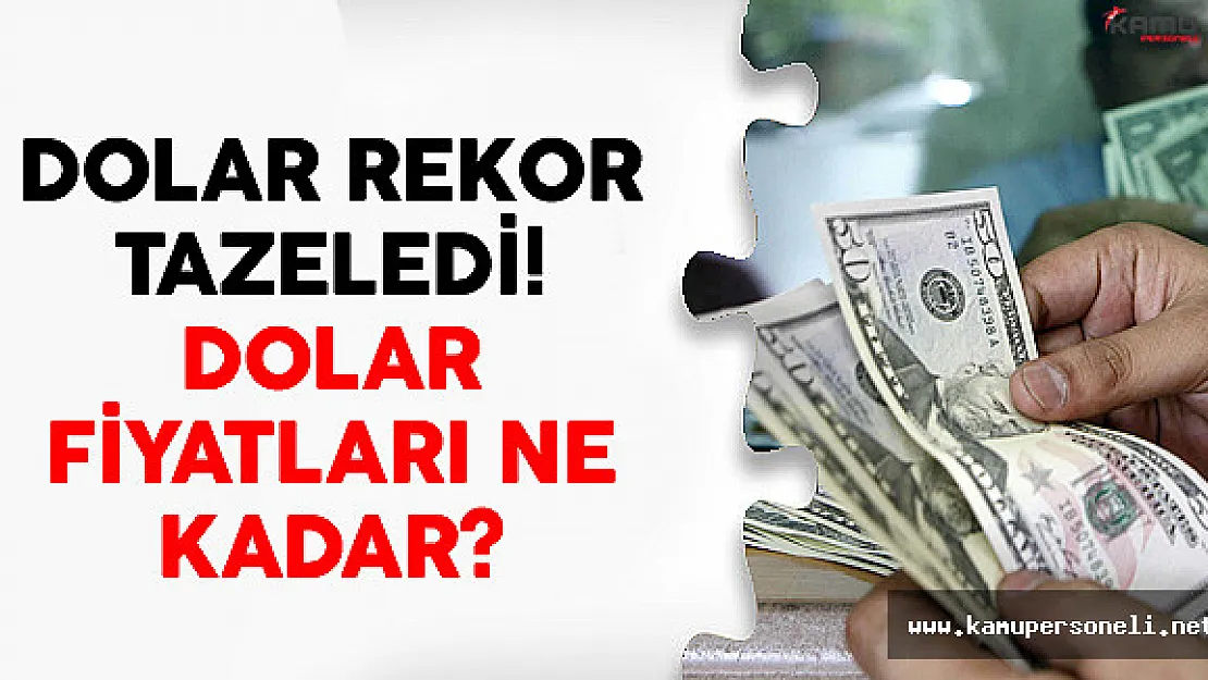 Dolar Rekor Tazeledi! Dolar Fiyatları Ne Kadar?