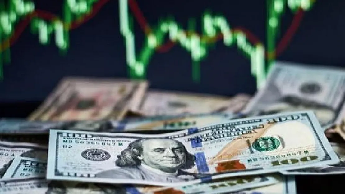 Dolar Türkiye'de değer kazanırken diğer ülkelerde değer kaybetmeye devam ediyor!