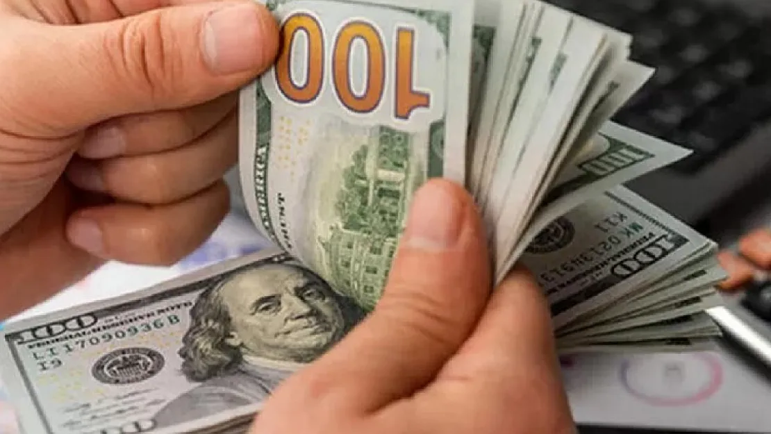 Dolara yatırım yapanlar dikkat: Acil gündeme alınmazsa dolar 24 TL olacak
