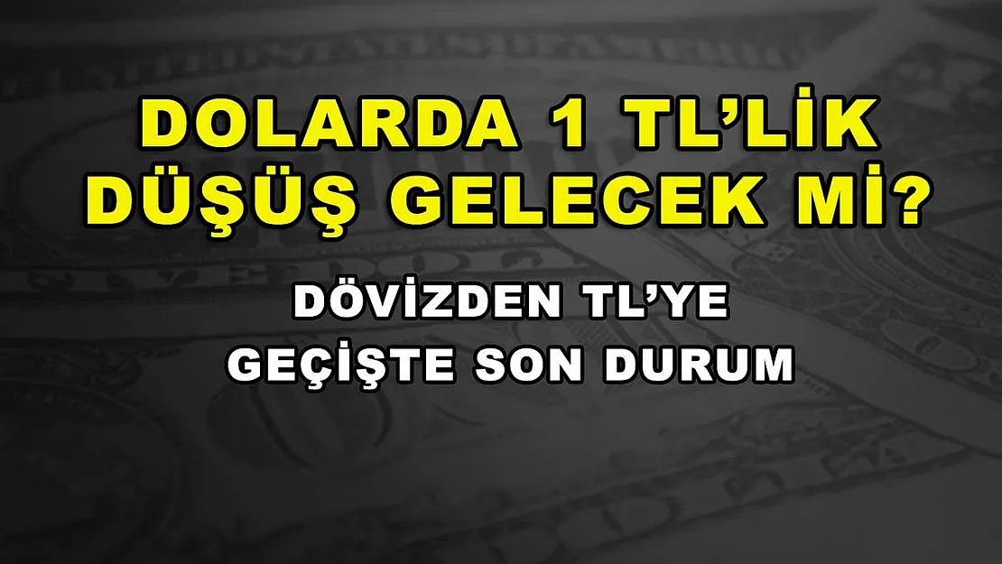 Dolarda 1 TL'lik düşüş gelecek mi? Dövizden TL'ye geçişte son durum