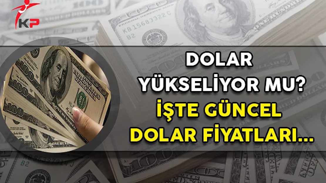 Dolarda Hareketlilik Devam Ediyor Mu? İşte Güncel Döviz Kuru...