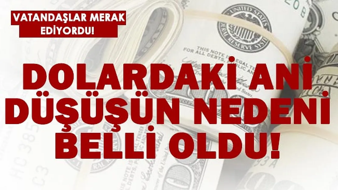 Dolardaki ani düşüşün sebebi belli oldu!