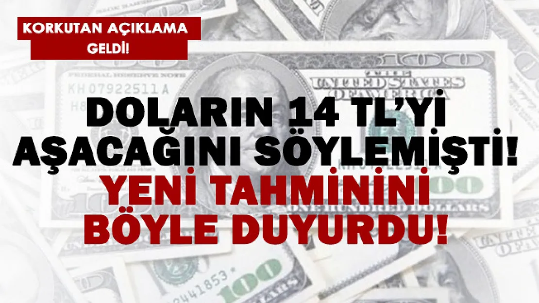 Doların 14 TL'yi geçeceğini söyleyen uzman isim yeni rekoru açıkladı!