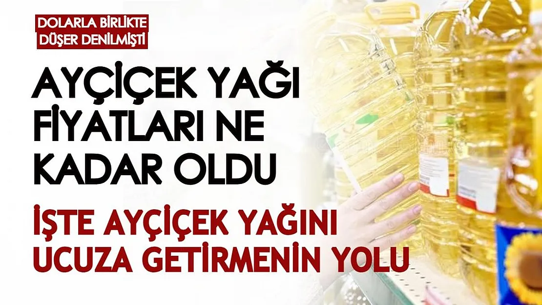 Dolarla birlikte düşer denilmişti: Marketlerde ayçiçek yağı fiyatları ne kadar? İşte ayçiçek yağını uygun fiyata almanın yolu