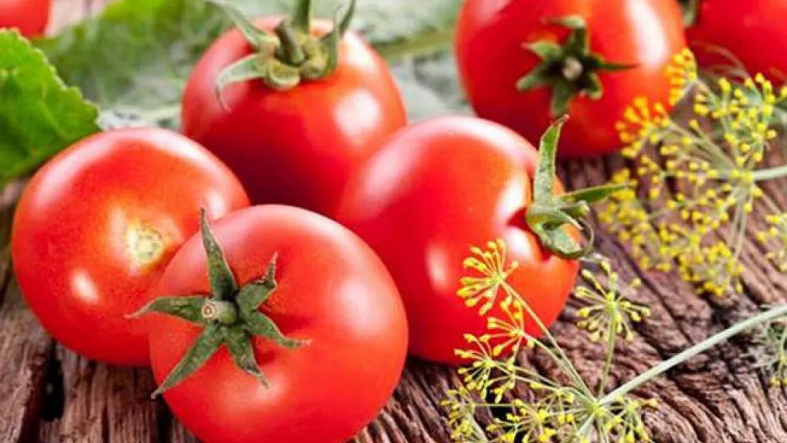 Domates Fiyatlarına Zam Geliyor! Domates Fiyatları Ne Kadar?