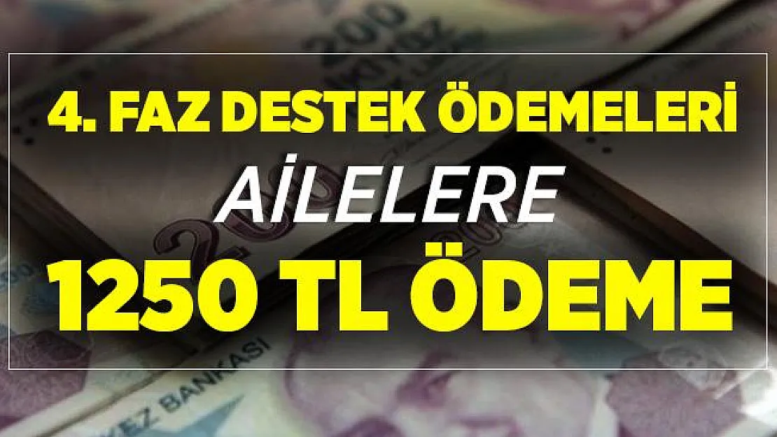Dördüncü faz destek ödemeleri! Başvuran ailelere 1.250 TL destek ödemesi!