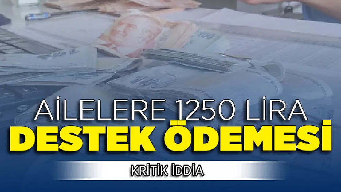 Dördüncü Faz Destek Ödemesi Değerlendirmesi ! Ailelere 1250 Lira Destek Ödemesi
