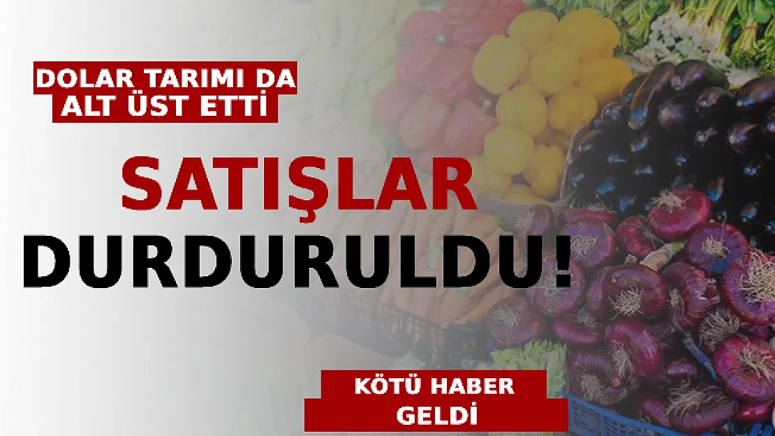 Döviz Kurları Tarımı Da Alt Üst Etti: Satışlar Durduruldu!